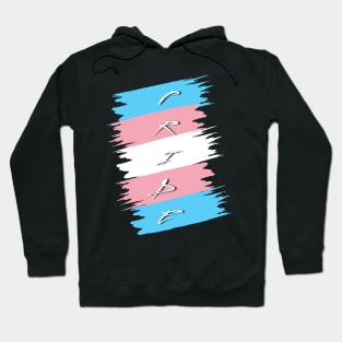 Transgender Pride Hoodie